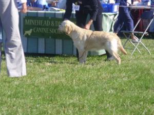 6 months old at the show