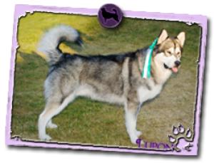 Lucien and his group 4 rosette