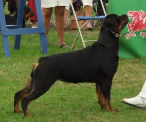 Meggie 2 1/2 years