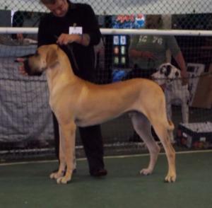 Oakley