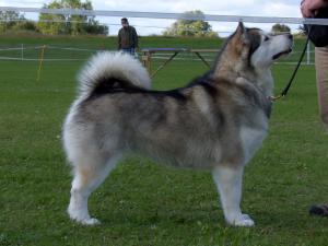 In the Working Group