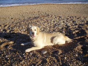 kizzy 7 months old