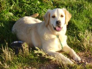 kizzy 7 months old