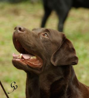 Duke's stunning expression (as usual)
