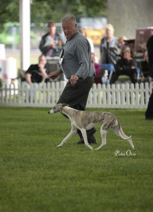 Jodie on the move in the group