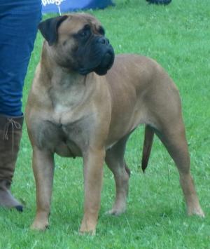 Bunty
