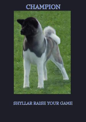 CHAMPION SHYLLAR RAISE YOUR GAME