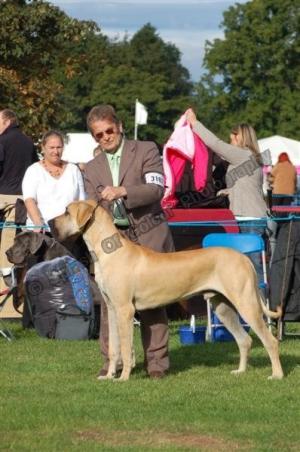 Oakley waiting for the judge
