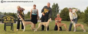 Hubble winning Best in Show