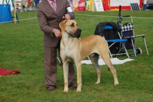 Oakley waiting for the judge