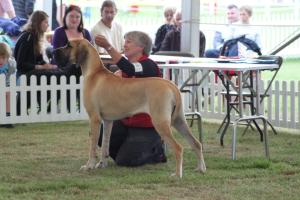BONNY AGED 10 MONTHS