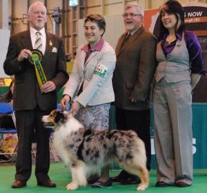 Crufts 2010