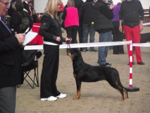 Rhona and Tara in the ring at SWRA