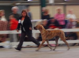 Charley and her handler for the day Maxine.