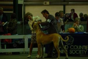 Oakley with the judge
