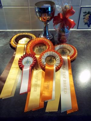 Oakley's wins on the day.