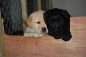 My wonderful Walter..xx