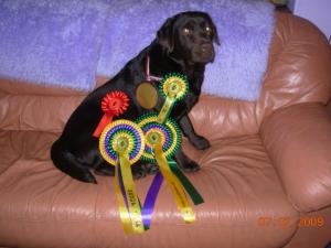 Niamh with all her rosettes from Tay Valley.