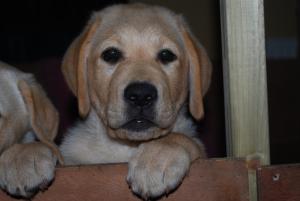 My wonderful Walter..xx