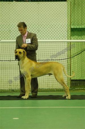 Oakley in the final line up