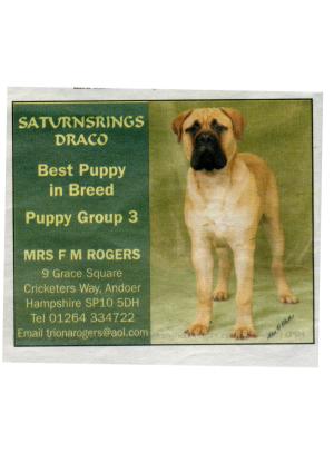 Draco featured in Dog World