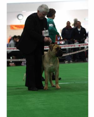 Draco 7 months