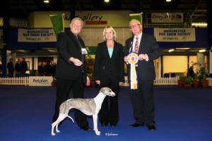 Jodie winning Best OppositeSex in Show
