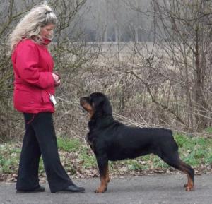 Madison 3 years 11 months