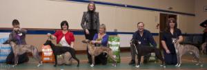 Best in Show Line-up
