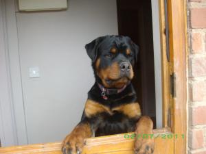 Alejandro 10 months