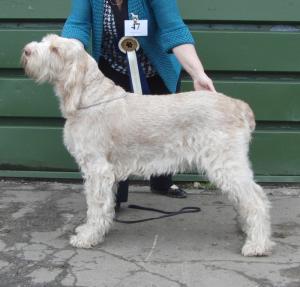 Ruby at Matlock