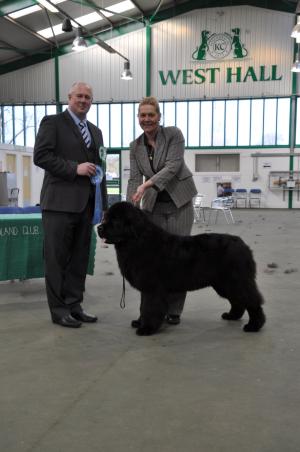 Best Puppy In Show