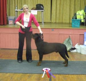 Dreamrott Big Aussie 13 Months