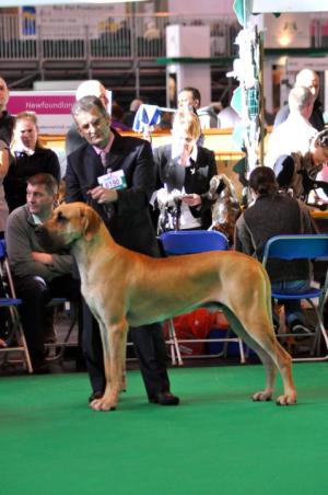 Oakley and Mick in the big ring