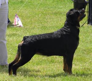 Meggie 2 1/2 years