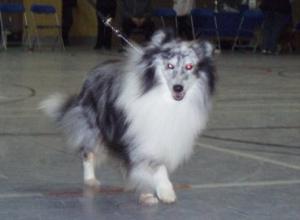 Spencer On the move