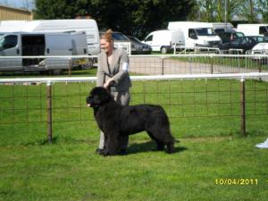 Andro winning his class at Mountsorrel