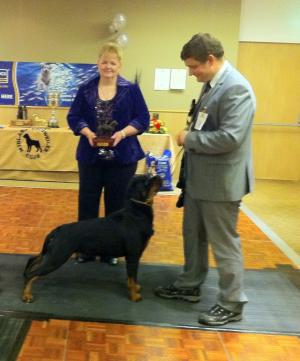 Amber winning MRC TOP ROTT -TOP PUPPY OF THE YEAR