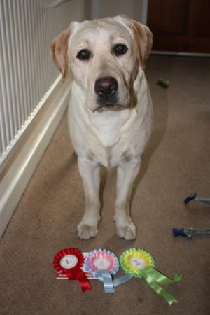 Eddie posing with his rosettes