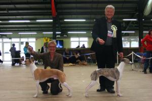 CH Palmik Magical Whispers JW (right)