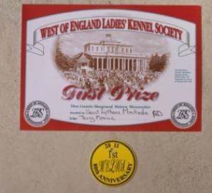 AWARD FOR FIRST PLACE