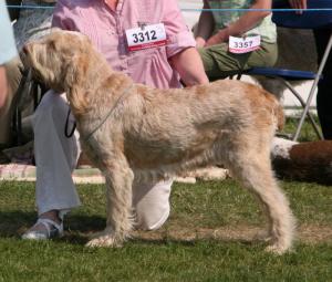 Ruby at Welks