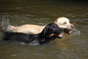 Enjoying a 'splash' with a friend!