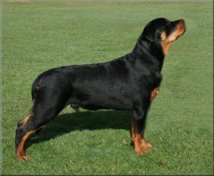 OSCAR AT 6 MONTHS & 2 DAYS
