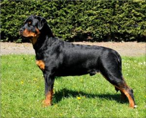 OSCAR AT 7 MONTHS
