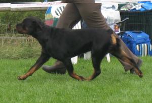 Meggie 2 1/2 Years
