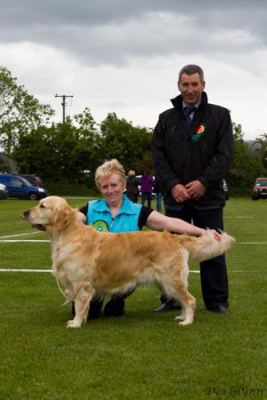 Rio as green star dog with judge Mr Brian Grace
