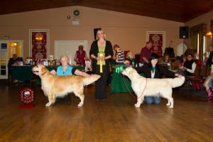 BIS and RBIS with judge Ms Sarah Wood